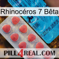 Rhinocéros 7 Bêta new14